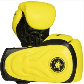 TOP TEN SPARRING GLOVES 