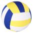 CHAMPION VOLLEY BALL