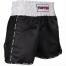 TOP TEN THAIBOX SHORTS 