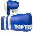 TOP TEN BOXING GLOVES 