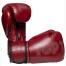 TOP TEN BOXING GLOVES 