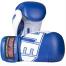 TOP TEN BOXING GLOVES 