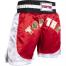 TOP TEN KICKBOXING SHORTS 