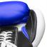 TOP TEN BOXING GLOVES PRO